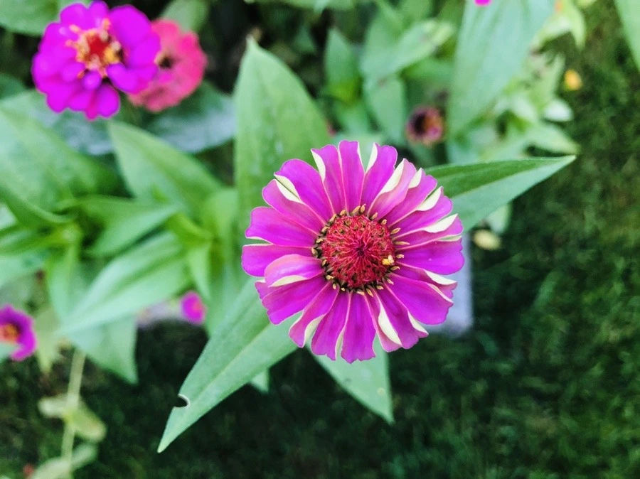 UV_uwaOdEuKdBQ1WTD1QLFnnbKU