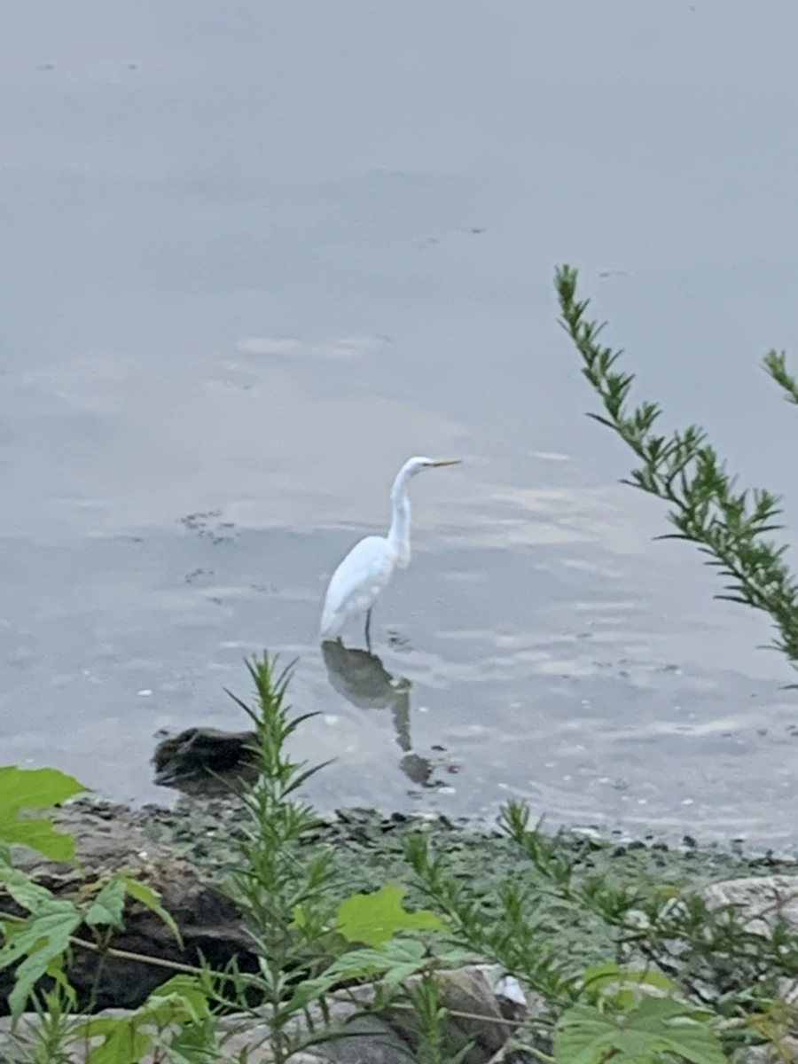 IMG_6296.jpg?type=w966