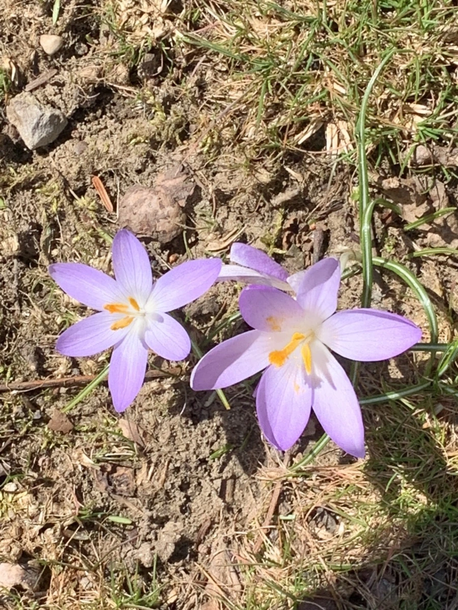 IMG_9214.jpg?type=w966