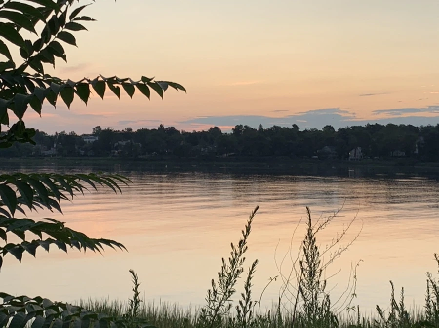 IMG_1174.jpg?type=w966