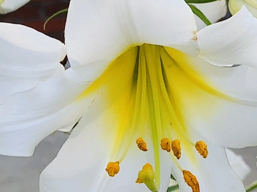 IMG_5640.jpg?type=w966