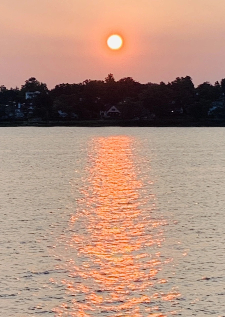 IMG_3460.jpg?type=w966