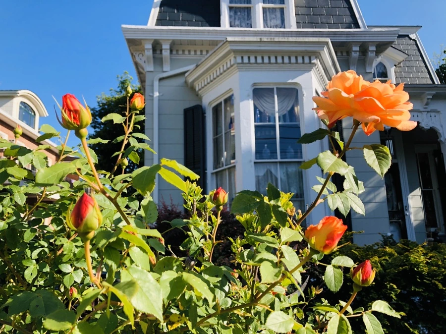 IMG_7342.jpg?type=w966