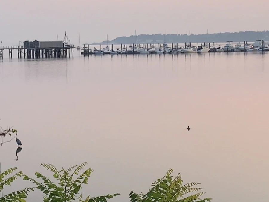 IMG_2009.jpg?type=w966