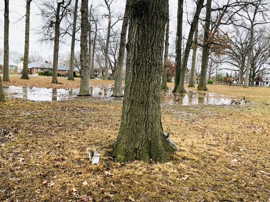 IMG_9541.jpg?type=w966