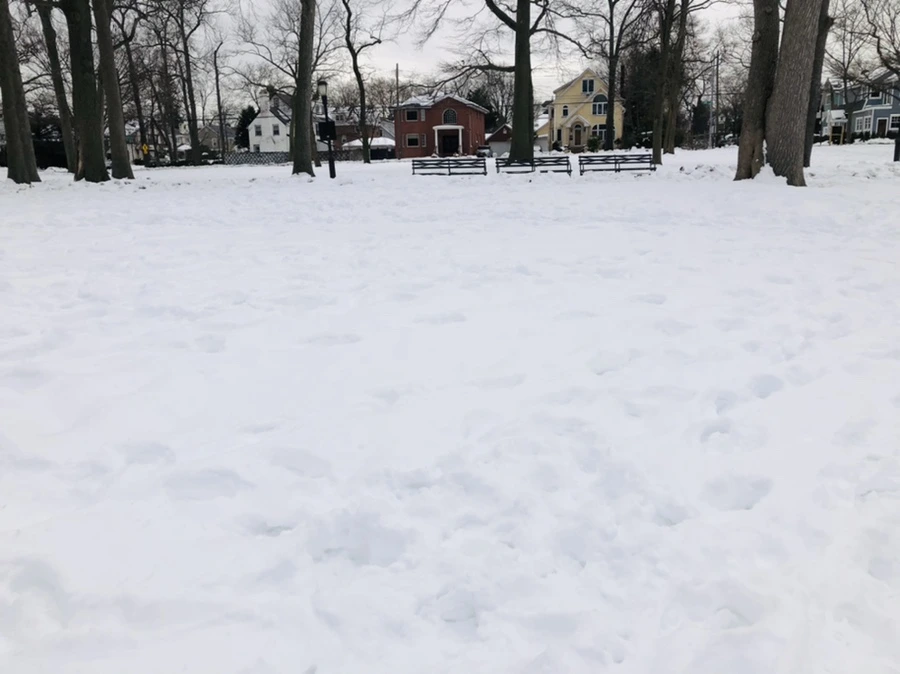 IMG_2602.jpg?type=w966