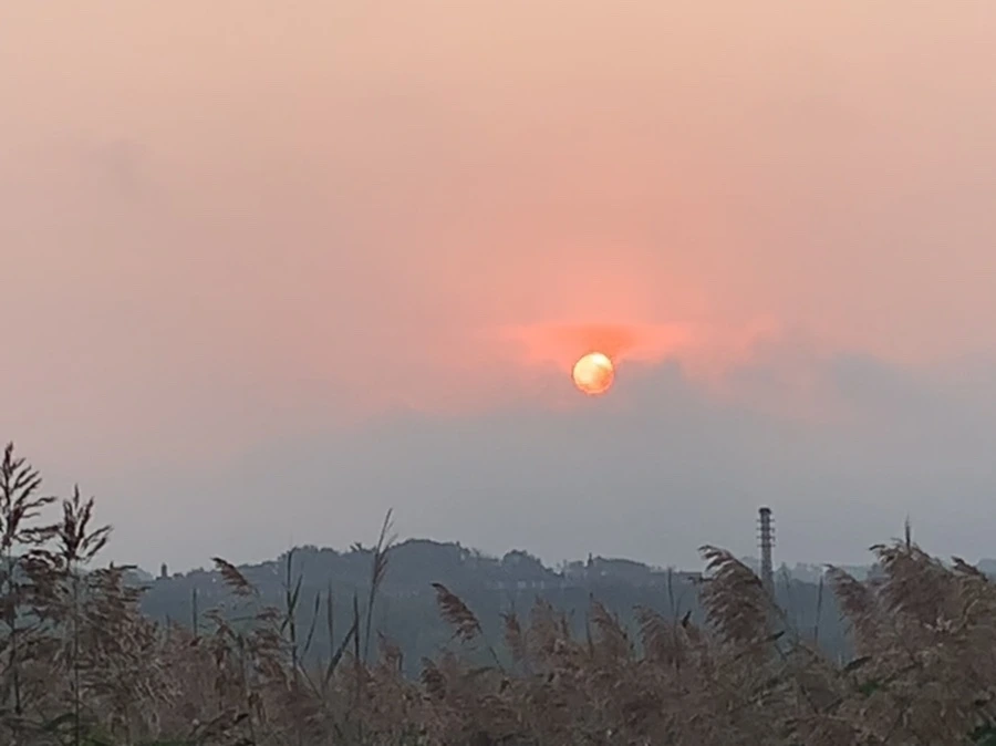 IMG_1116.jpg?type=w966