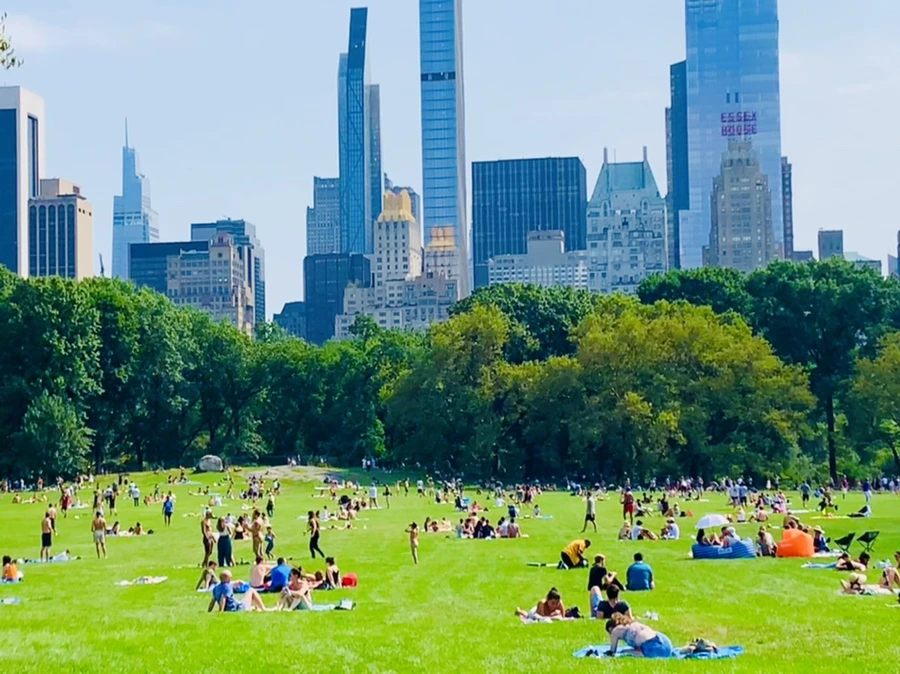 IMG_0631.jpg?type=w966