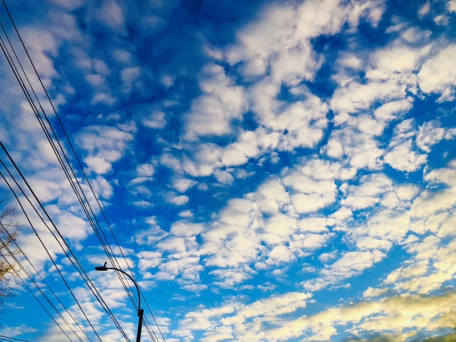 IMG_4864.jpg?type=w966