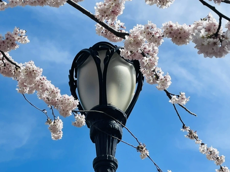 IMG_9819.jpg?type=w966