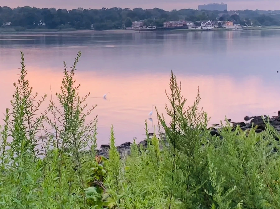 IMG_0255.jpg?type=w966