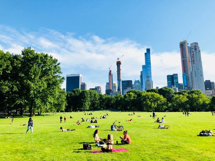 IMG_7585.jpg?type=w966