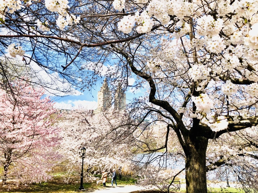 IMG_6851.jpg?type=w966