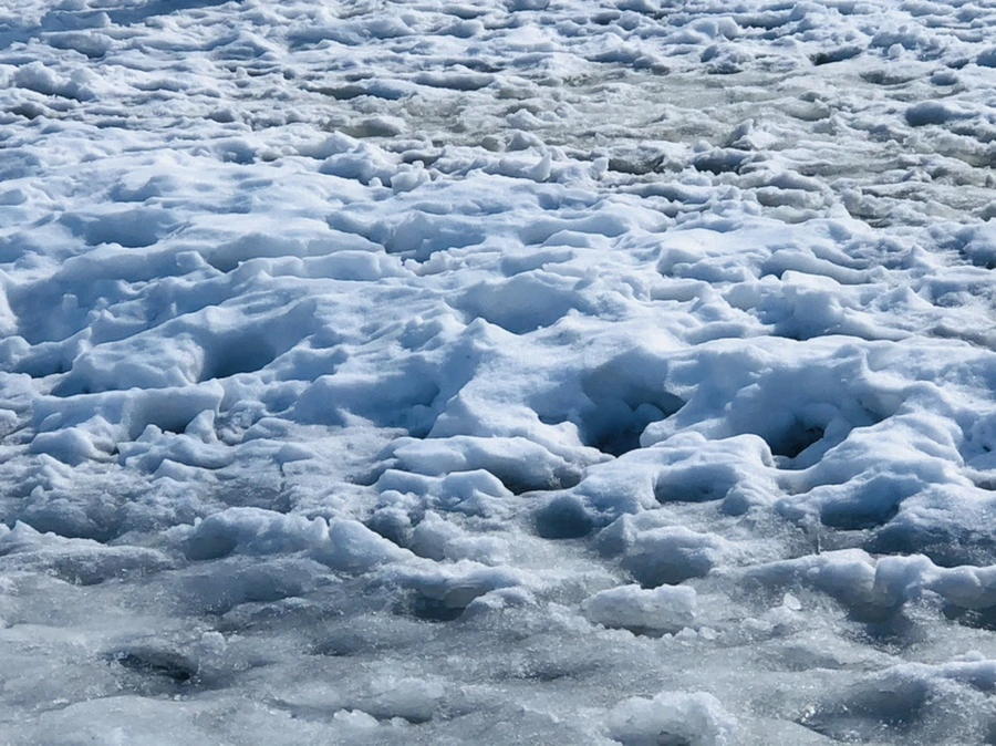 IMG_2985.jpg?type=w966