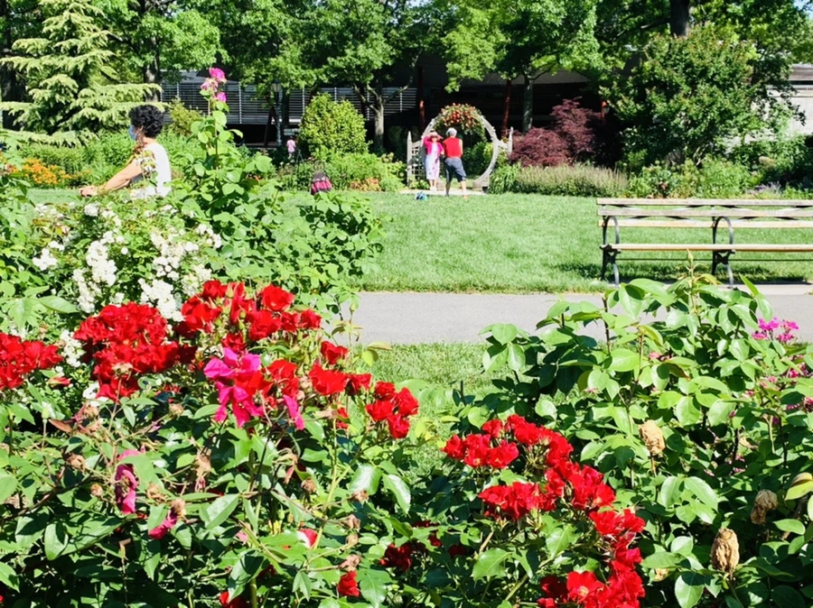 IMG_3113.jpg?type=w966