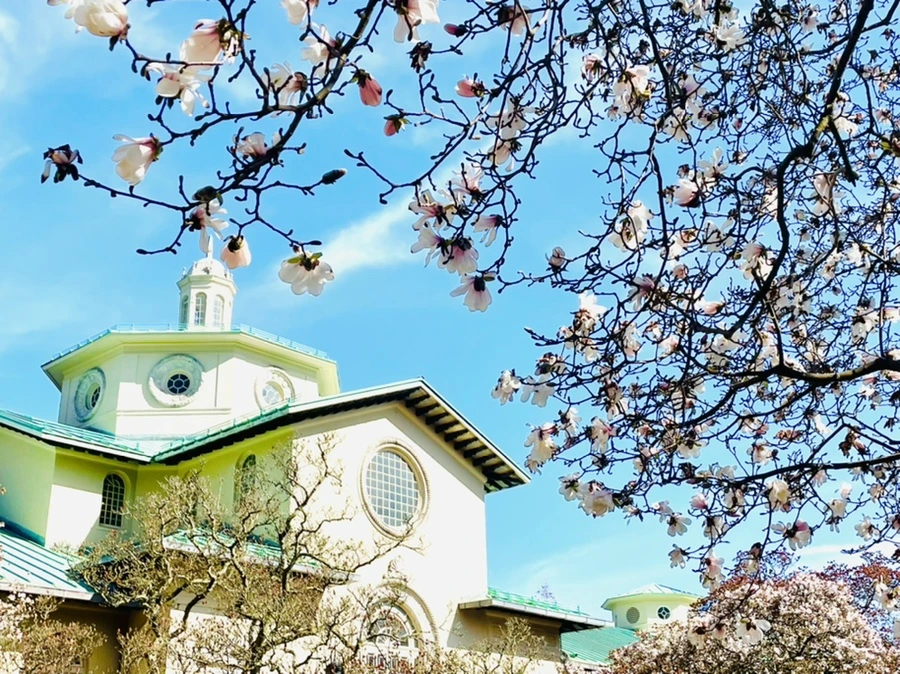 IMG_8573.jpg?type=w966