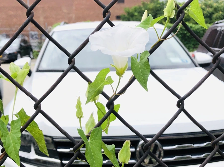 IMG_5141.jpg?type=w966