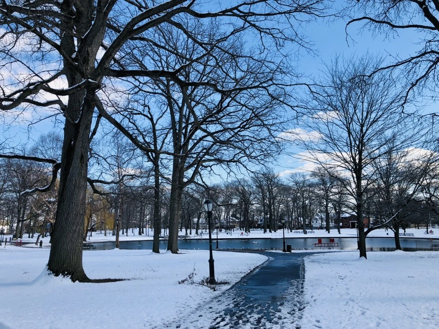 IMG_0448.jpg?type=w966