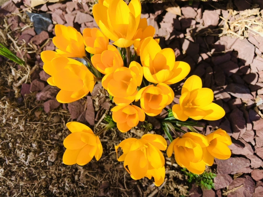 IMG_0677.jpg?type=w966