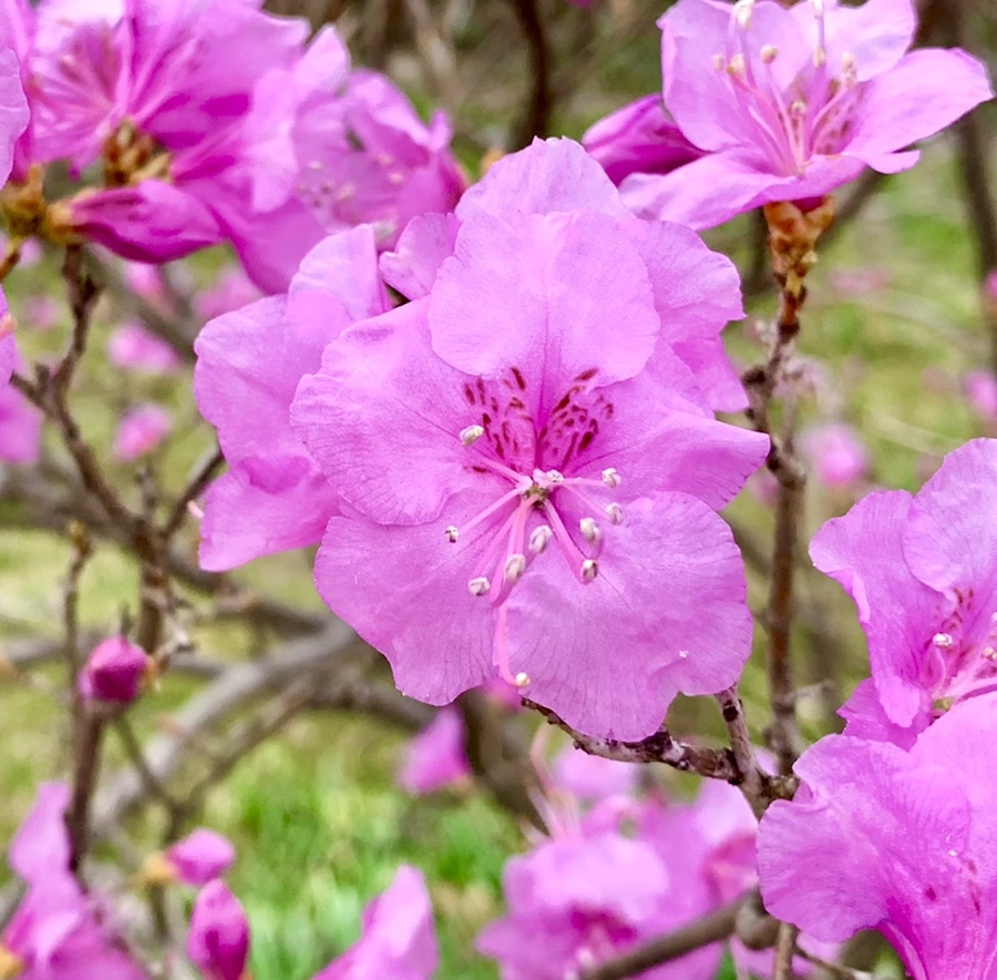 IMG_4679.jpg?type=w966