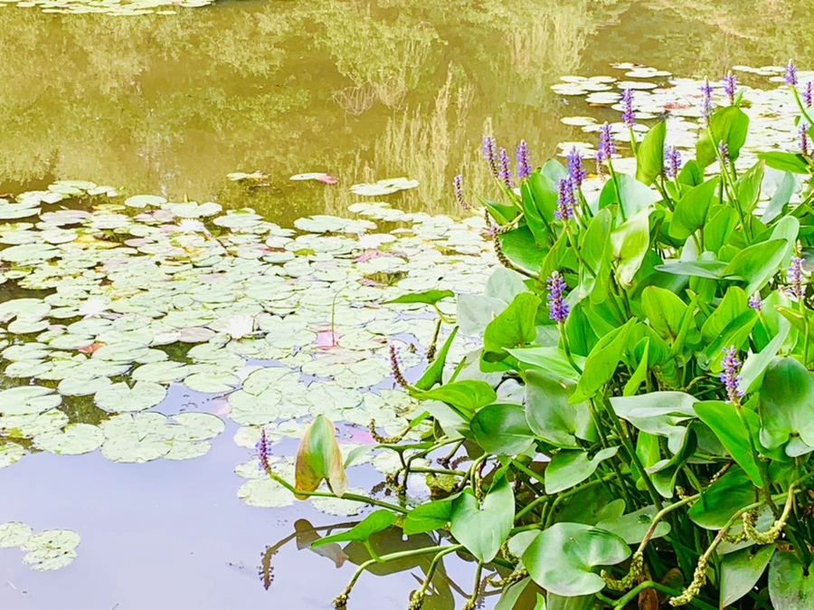 IMG_2281.jpg?type=w966