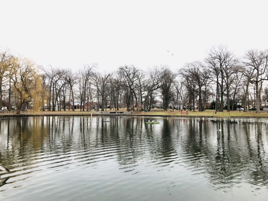 IMG_1006.jpg?type=w966