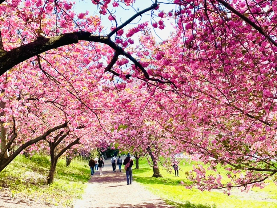 IMG_2752.jpg?type=w966