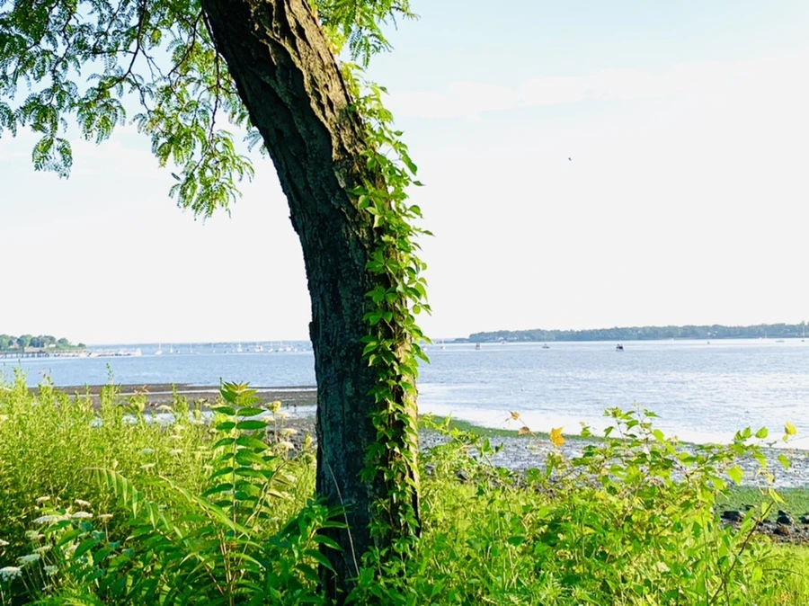 IMG_9824.jpg?type=w966