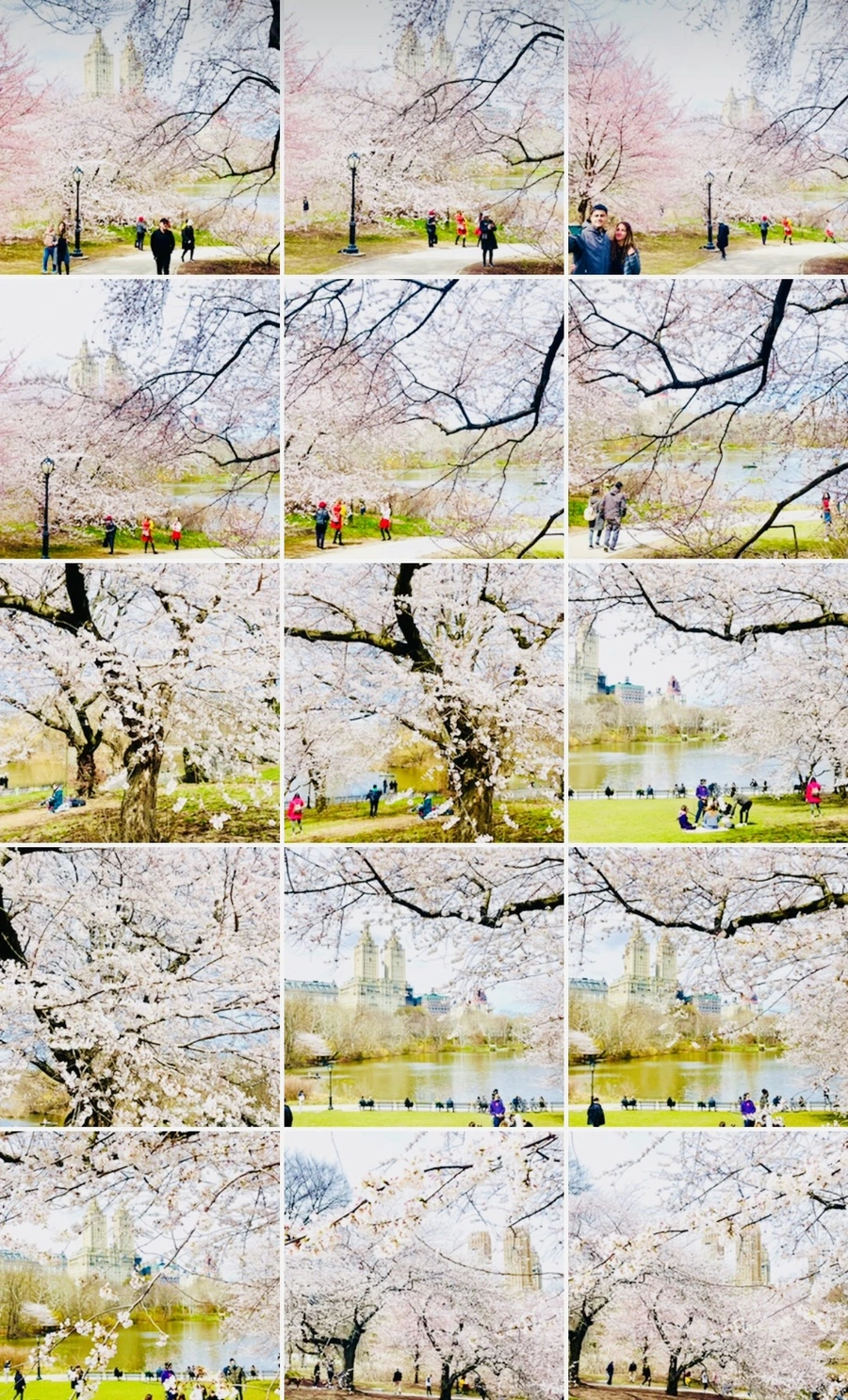 IMG_8996.jpg?type=w966