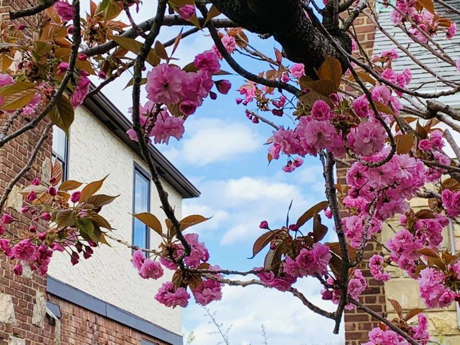 IMG_4378.jpg?type=w966