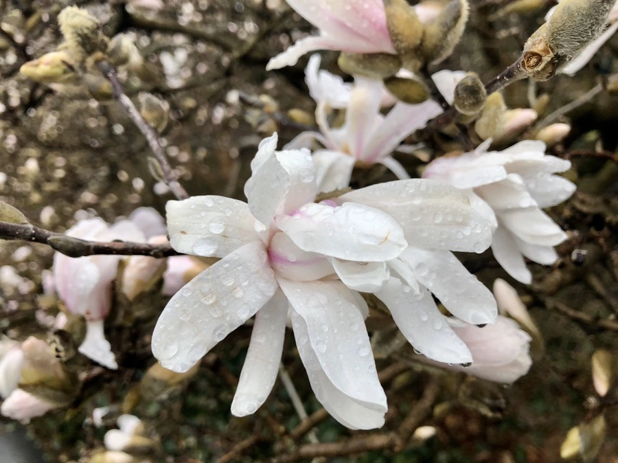 IMG_6183.jpg?type=w966