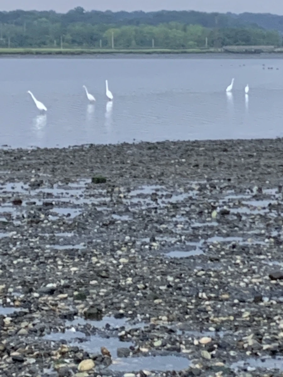 IMG_8193.jpg?type=w966