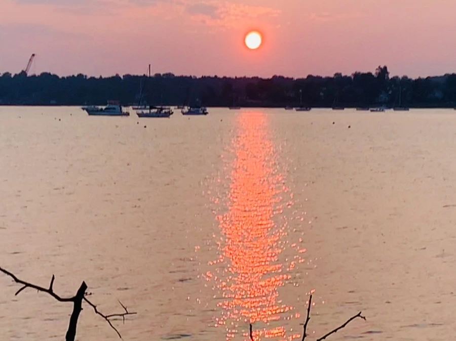 IMG_2500.jpg?type=w966