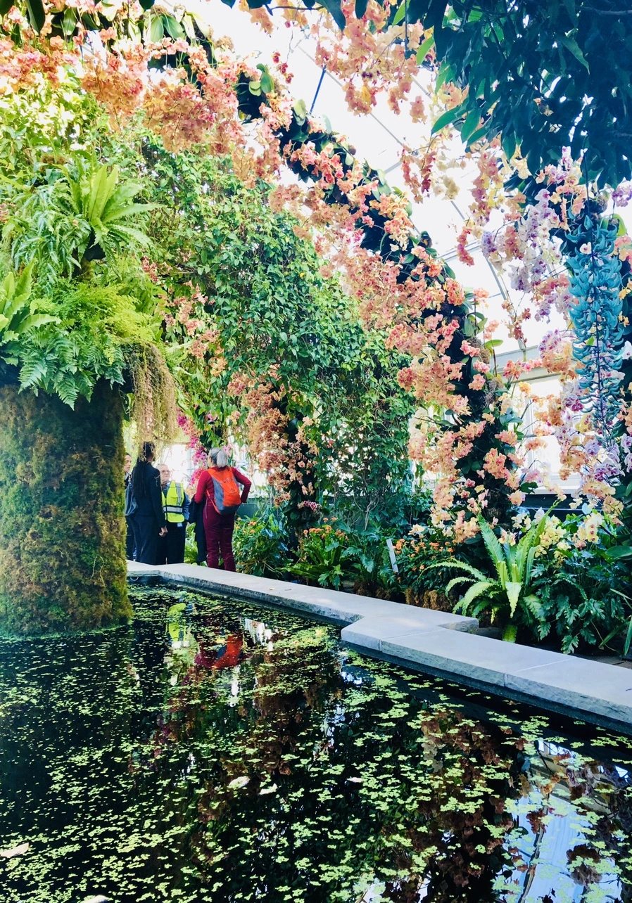 IMG_6307.jpg?type=w966