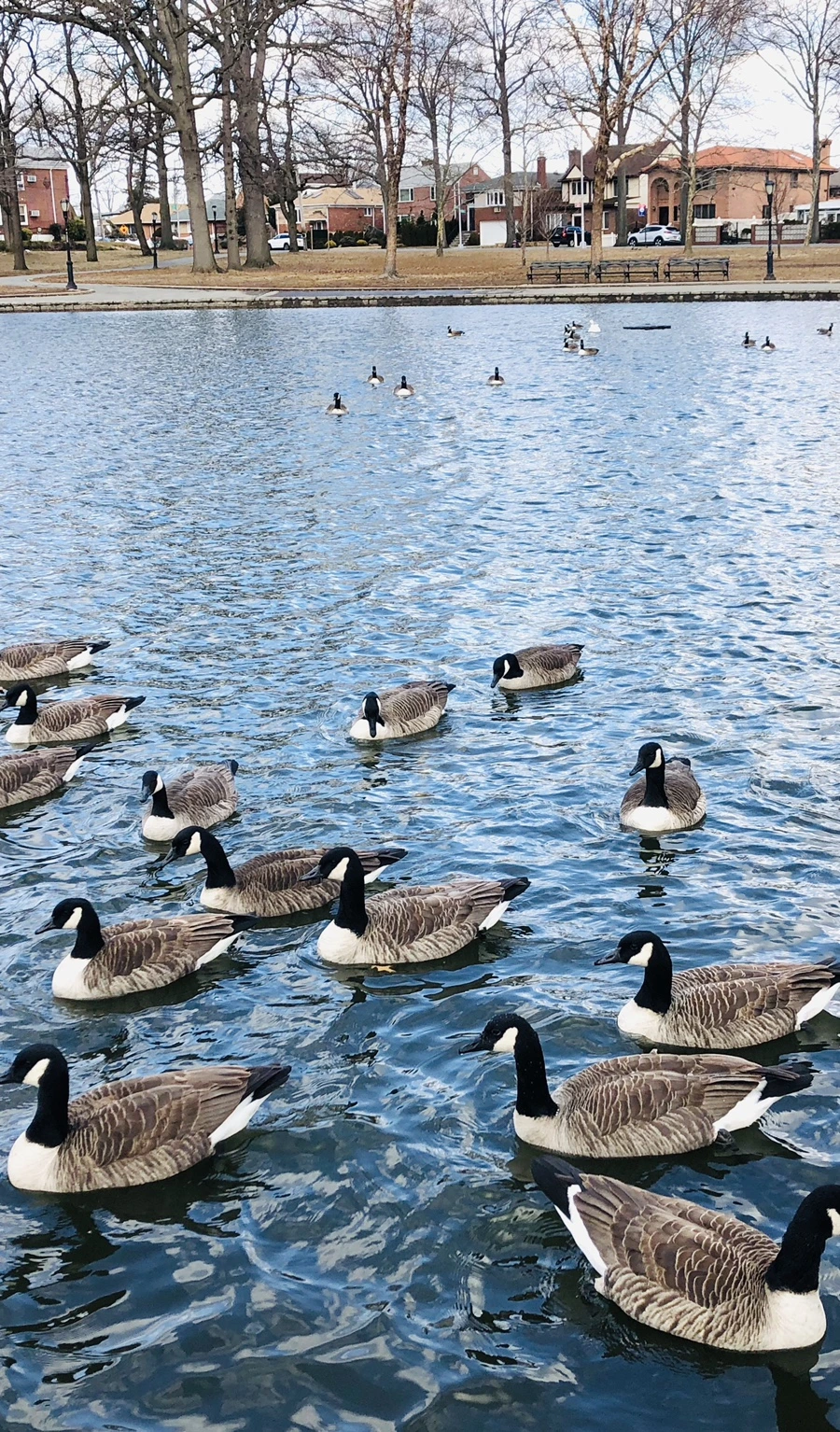 IMG_0148.jpg?type=w966