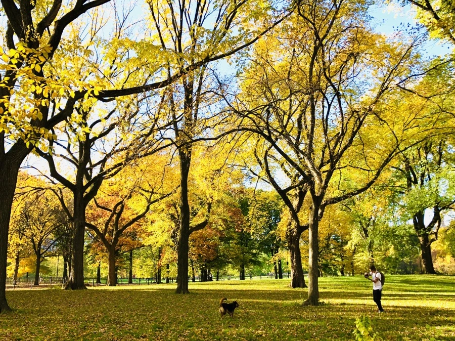 IMG_3479.jpg?type=w966