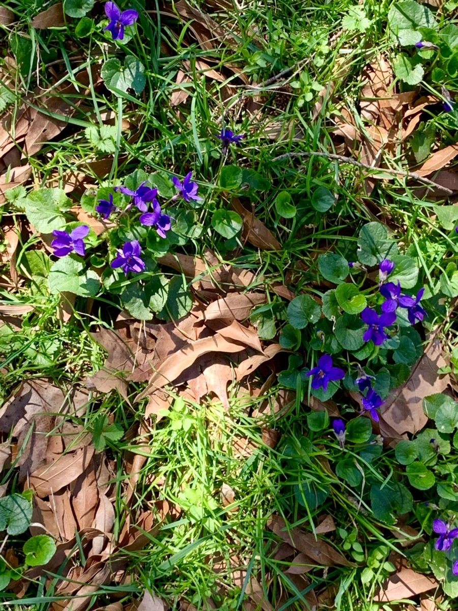 IMG_5822.jpg?type=w966