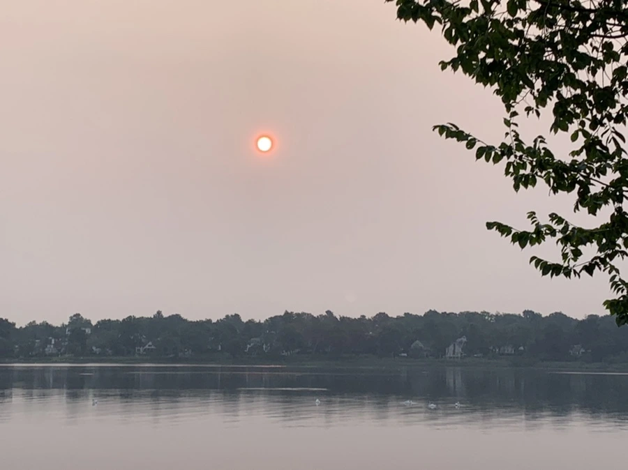 IMG_8092.jpg?type=w966