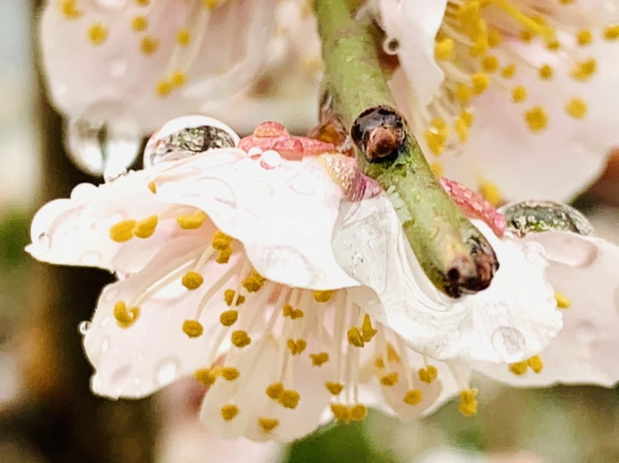 IMG_2002.jpg?type=w966