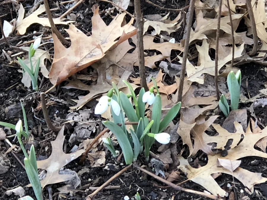 IMG_9429.jpg?type=w966