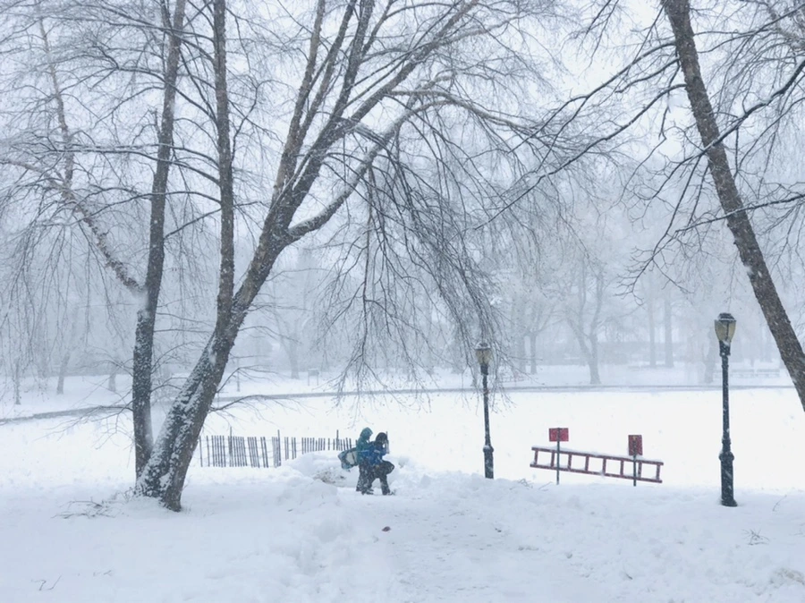 IMG_1098.jpg?type=w966