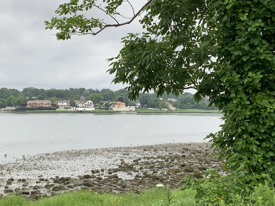 IMG_3721.jpg?type=w966