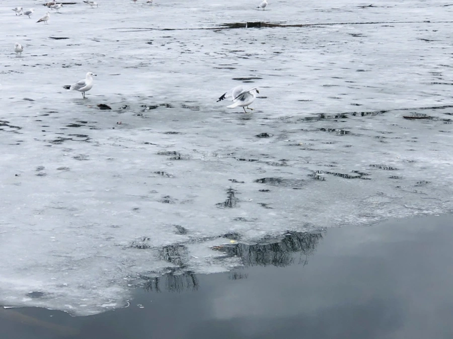 IMG_6401.jpg?type=w966