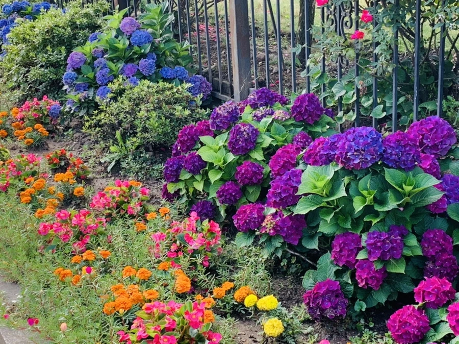 IMG_0360.jpg?type=w966