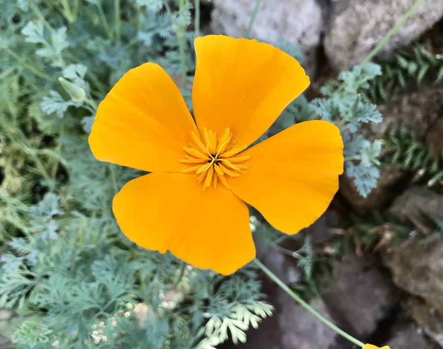 IMG_6240.jpg?type=w966