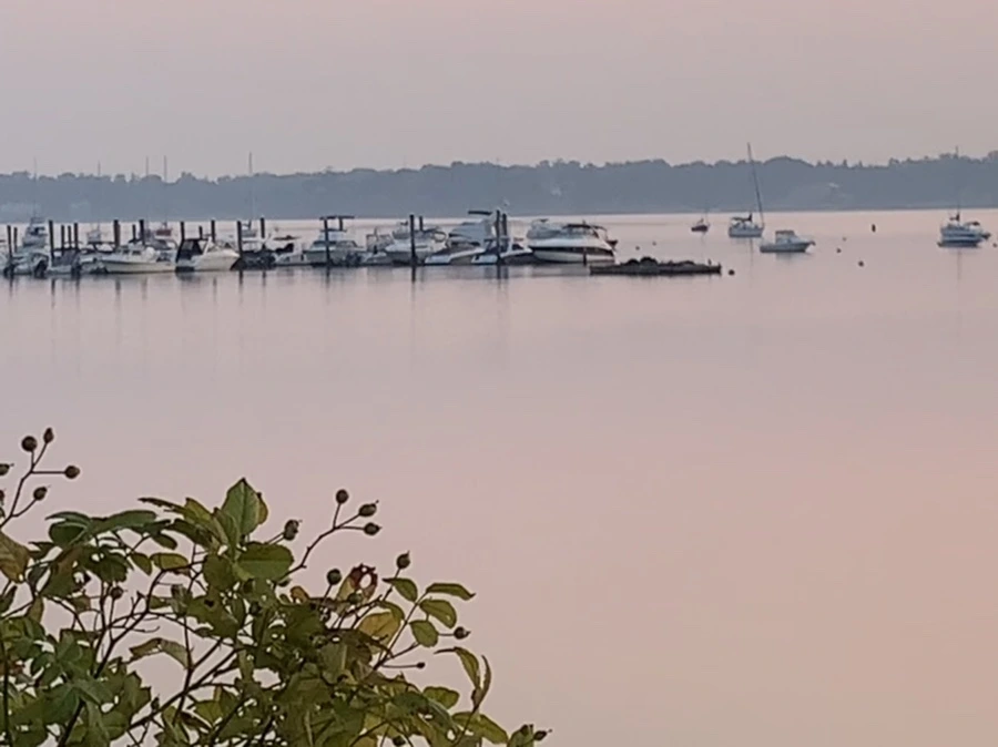 IMG_2002.jpg?type=w966