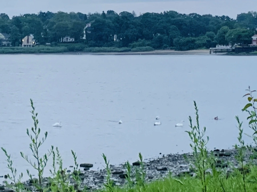 IMG_0716.jpg?type=w966