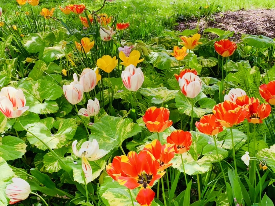 IMG_6869.jpg?type=w966