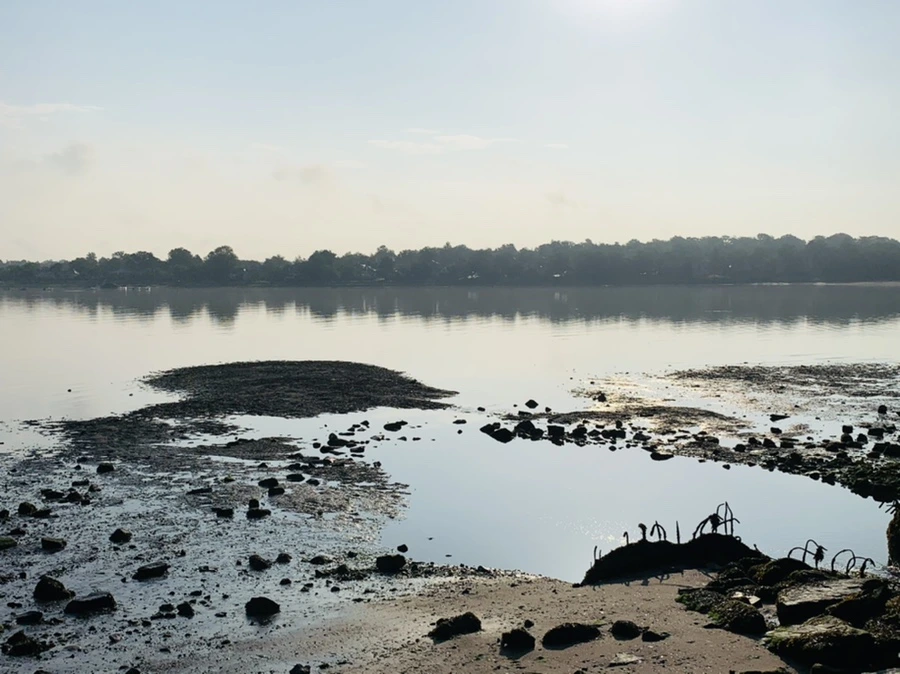 IMG_4357.jpg?type=w966