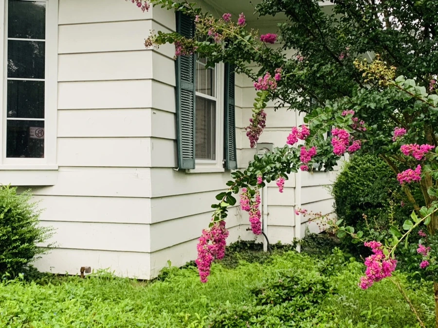 IMG_3700.jpg?type=w966